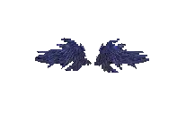 Wing of Curse 